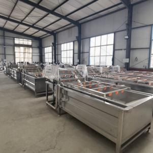 Máy chế biến hạt 200kg giờ Máy chiên đậu phộng công nghiệp 3