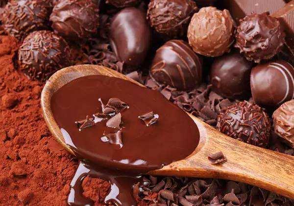 Máy ép nóng chảy sô cô la công nghiệp Jzj30 6