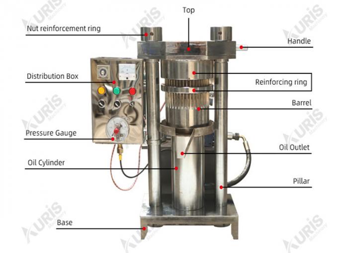 Máy ép dầu thủy lực mè dọc Trà óc chó Xem ép đùn hoa hướng dương 3