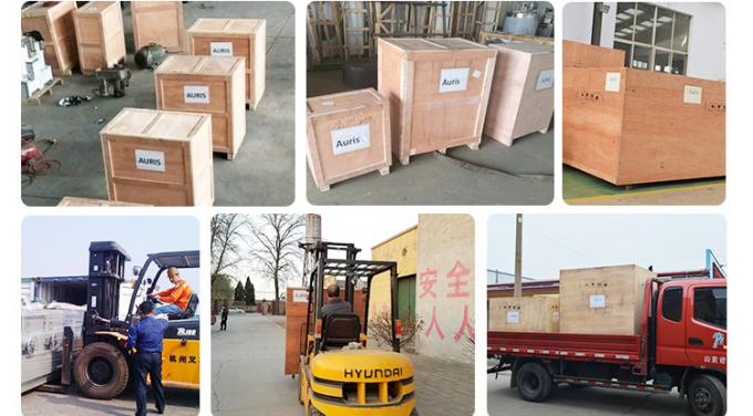 Máy ép dầu thủy lực mè dọc Trà óc chó Xem ép đùn hoa hướng dương 8