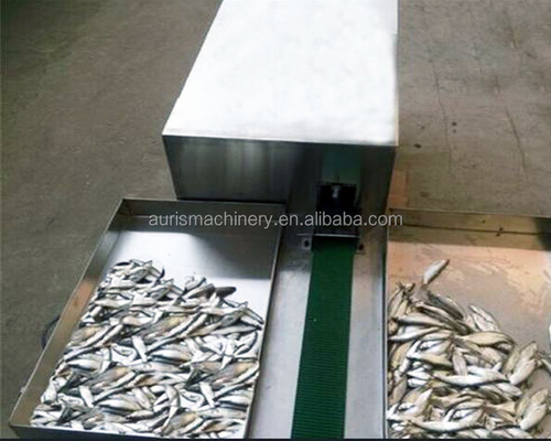 1800 cái / H Máy chế biến cá Quay lại Máy cắt cá Mở miệng Sạch