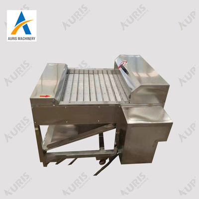 Máy cắt phi lê Máy thái cá Chế biến và cắt đuôi tóc đông lạnh